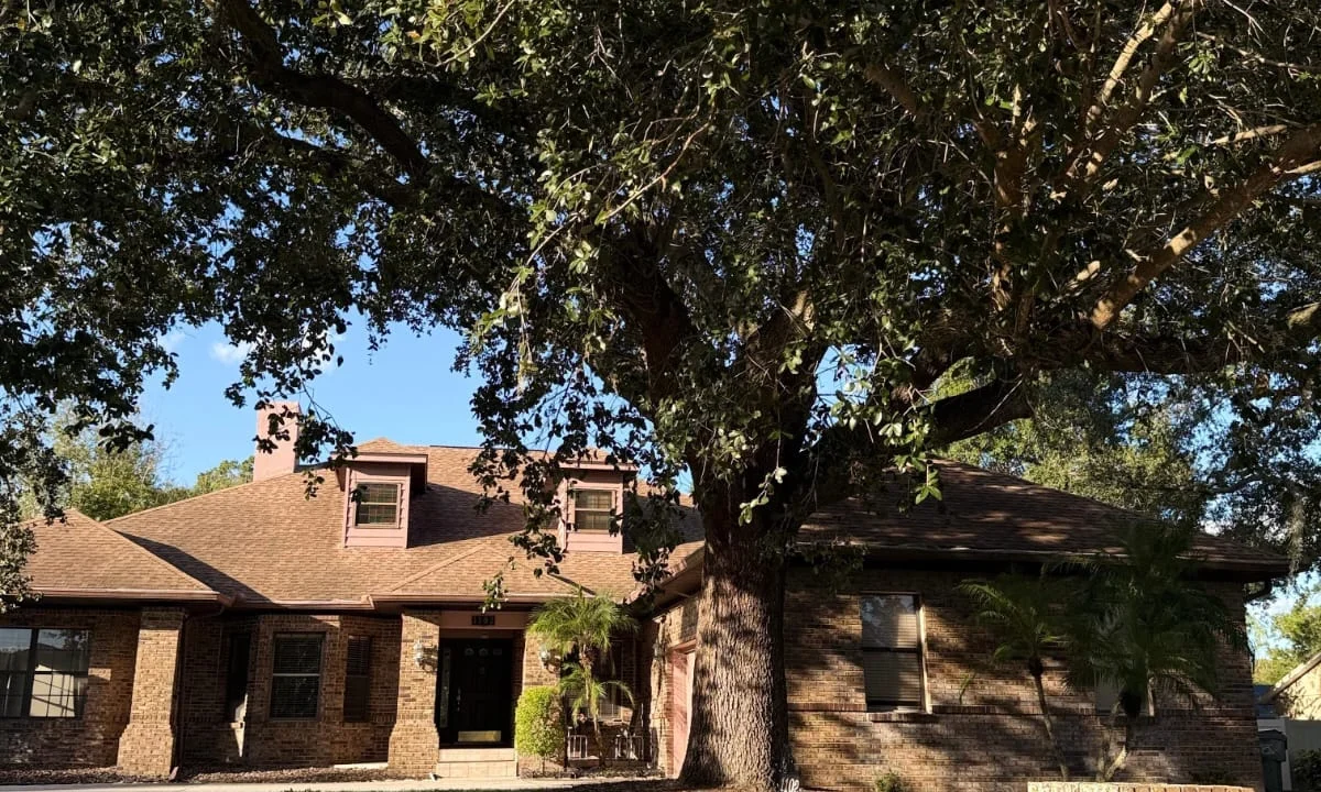 20251025_134621000_iOS-1