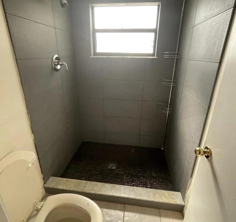 723-Dromedary-dr1-768x1024