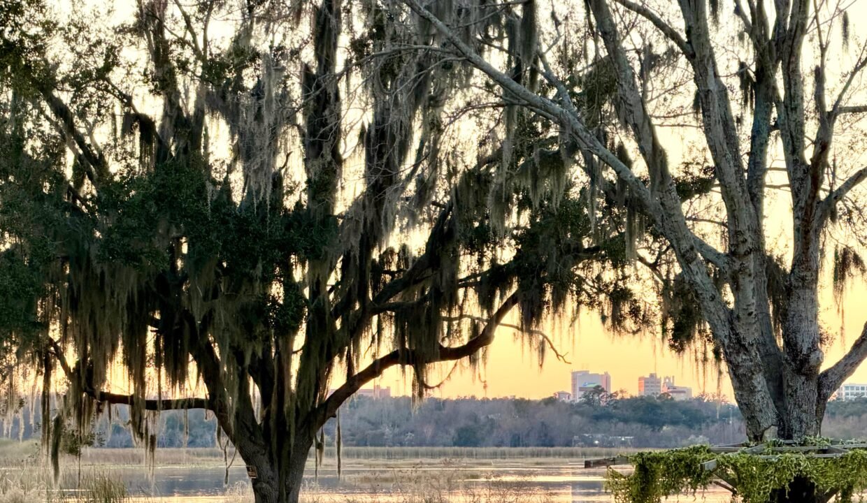 WhatsApp Image 2026-02-09 at 9.35.54 AM (2)