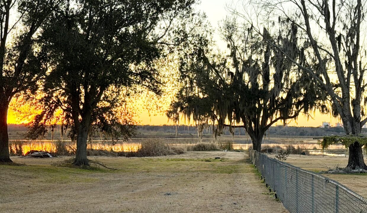 WhatsApp Image 2026-02-09 at 9.35.54 AM (4)