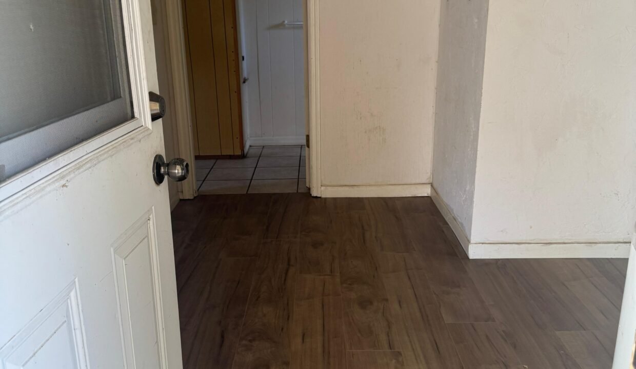 WhatsApp Image 2026-03-04 at 2.21.38 PM (1)