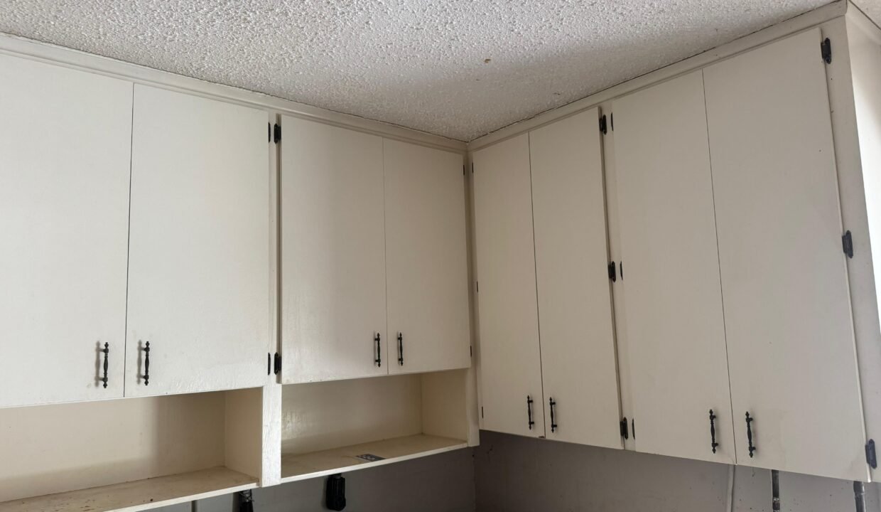 WhatsApp Image 2026-03-04 at 2.21.38 PM (3)