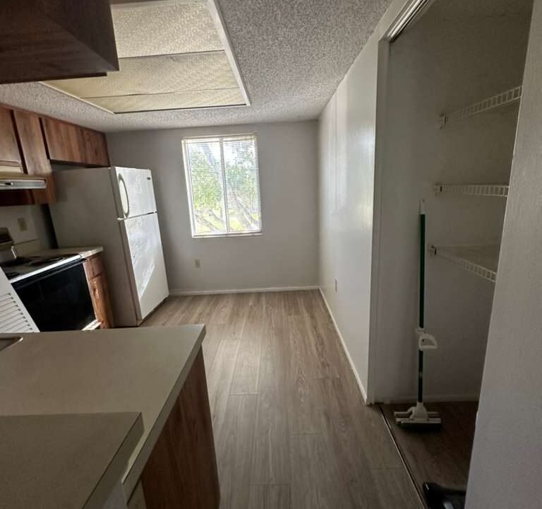 WhatsApp Image 2026-02-18 at 7.41.46 PM (1)