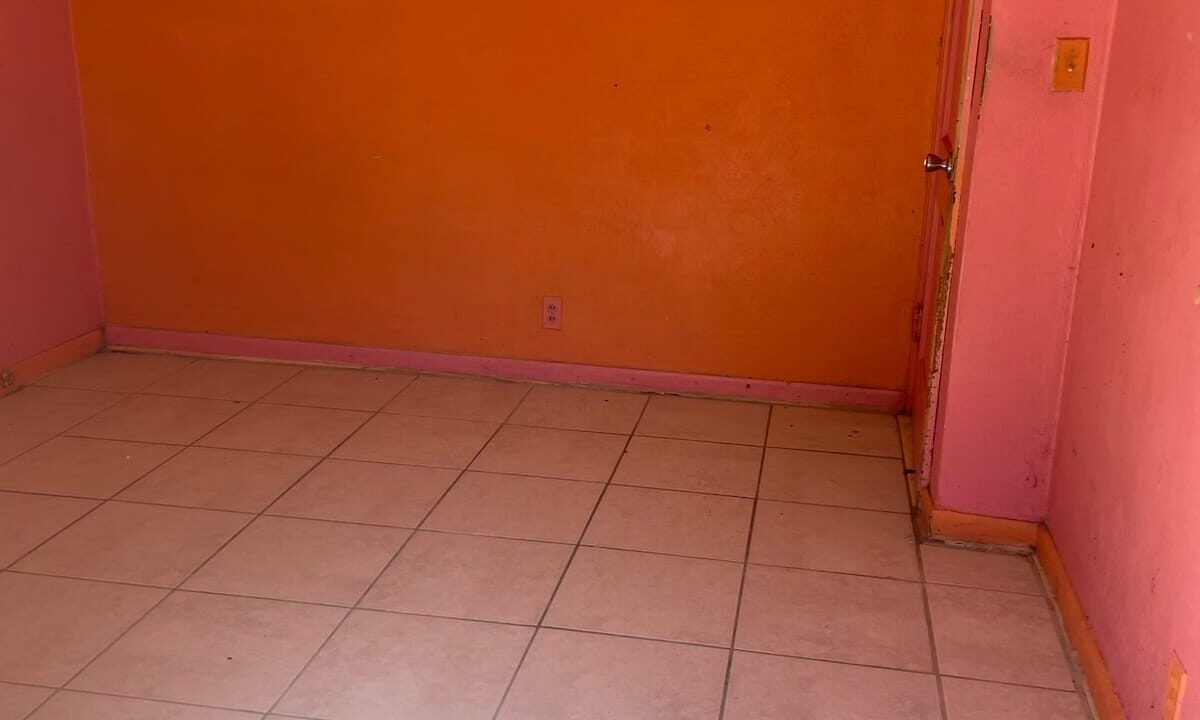 WhatsApp Image 2026-02-25 at 2.13.10 PM