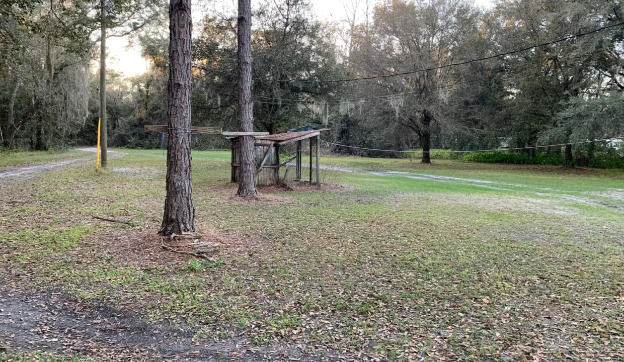 20200202_223558514_iOS