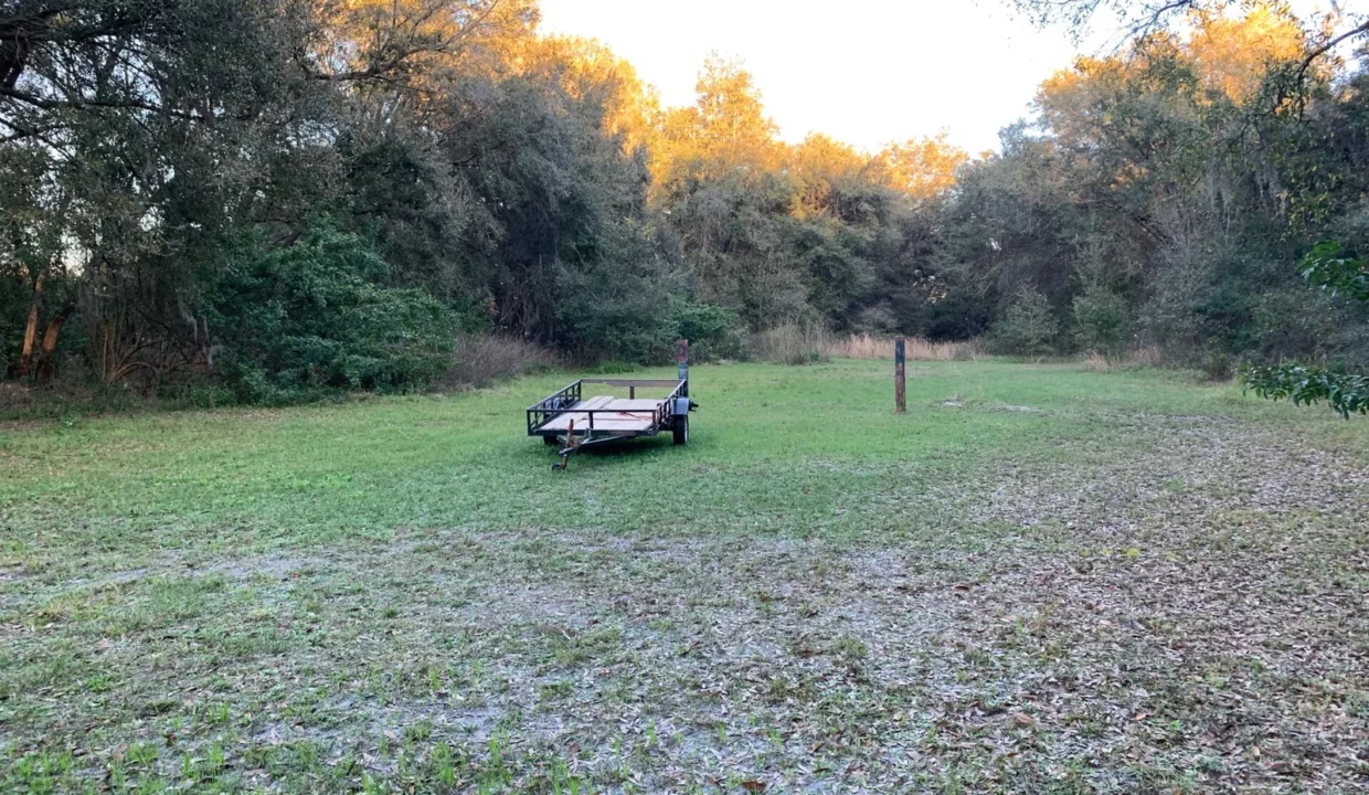 20200202_223621992_iOS