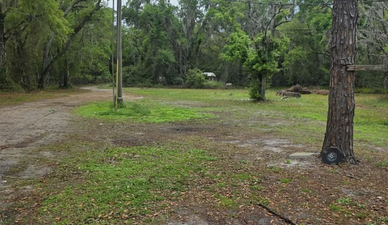 WhatsApp Image 2026-03-17 at 10.17.17 AM