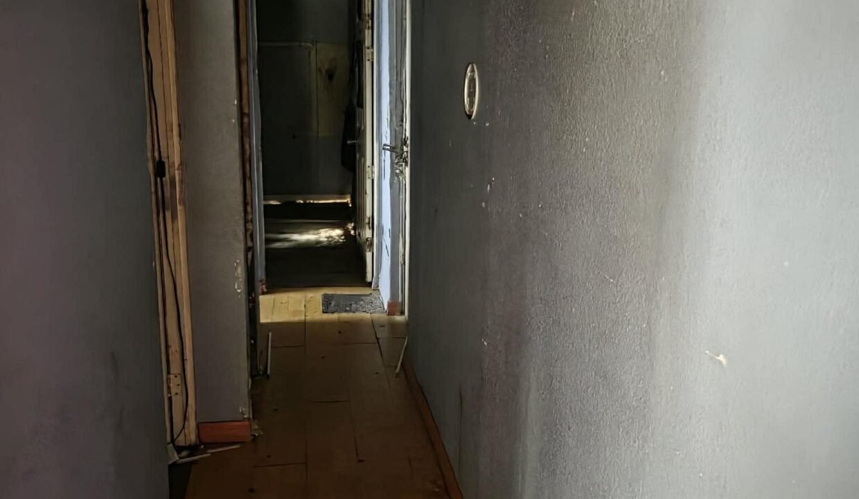 WhatsApp Image 2026-03-17 at 10.17.18 AM (1)