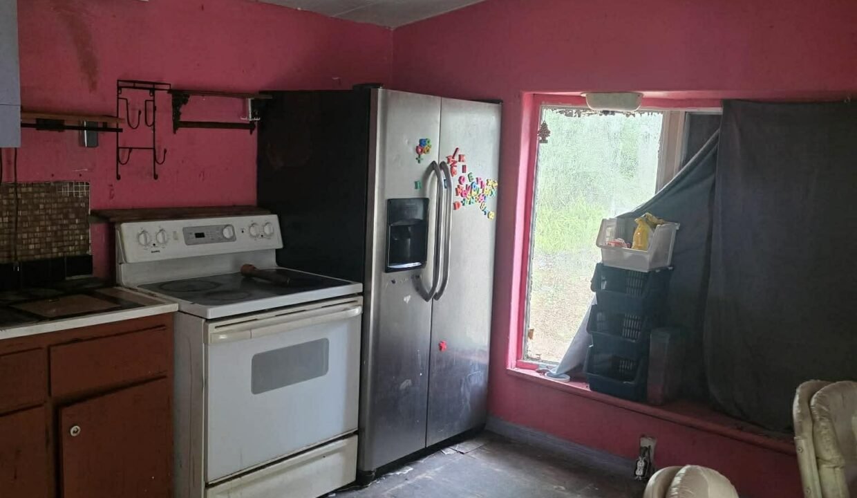 WhatsApp Image 2026-03-17 at 10.17.18 AM